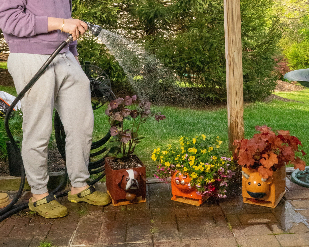 Whimsy Meets Function: The Cutest Planters That Make Any Space Bloom