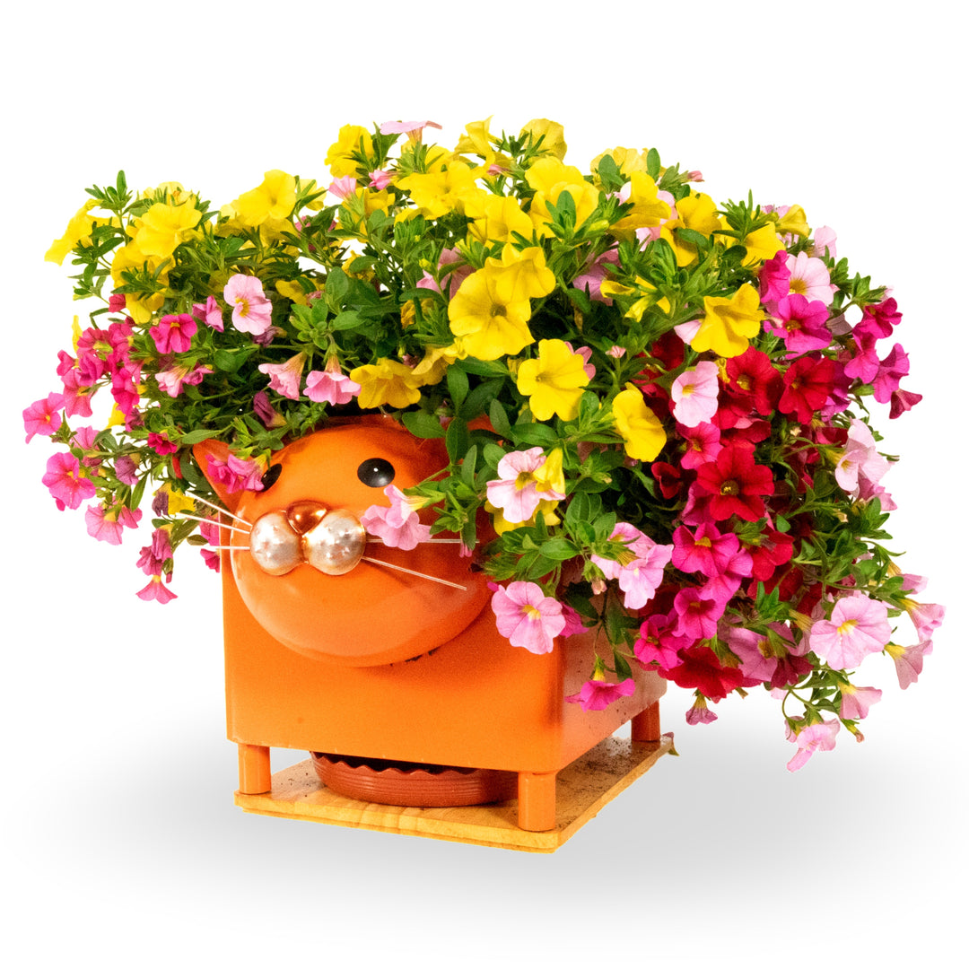 Made Easy Kit Animal Planter Box – Metal Pot with Drainage & Wooden Platform for Indoor/Outdoor Decor