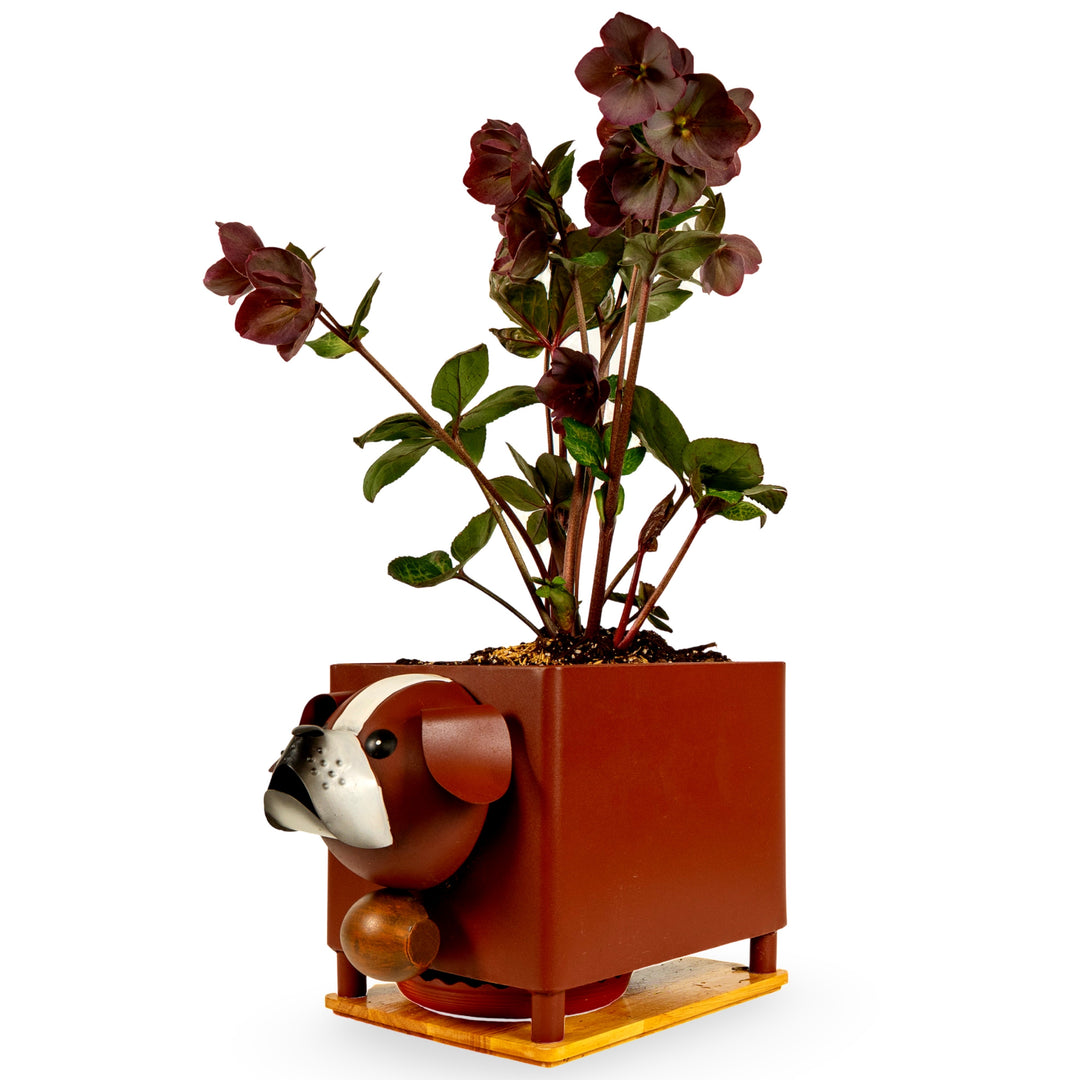 Made Easy Kit Animal Planter Box – Metal Pot with Drainage & Wooden Platform for Indoor/Outdoor Decor