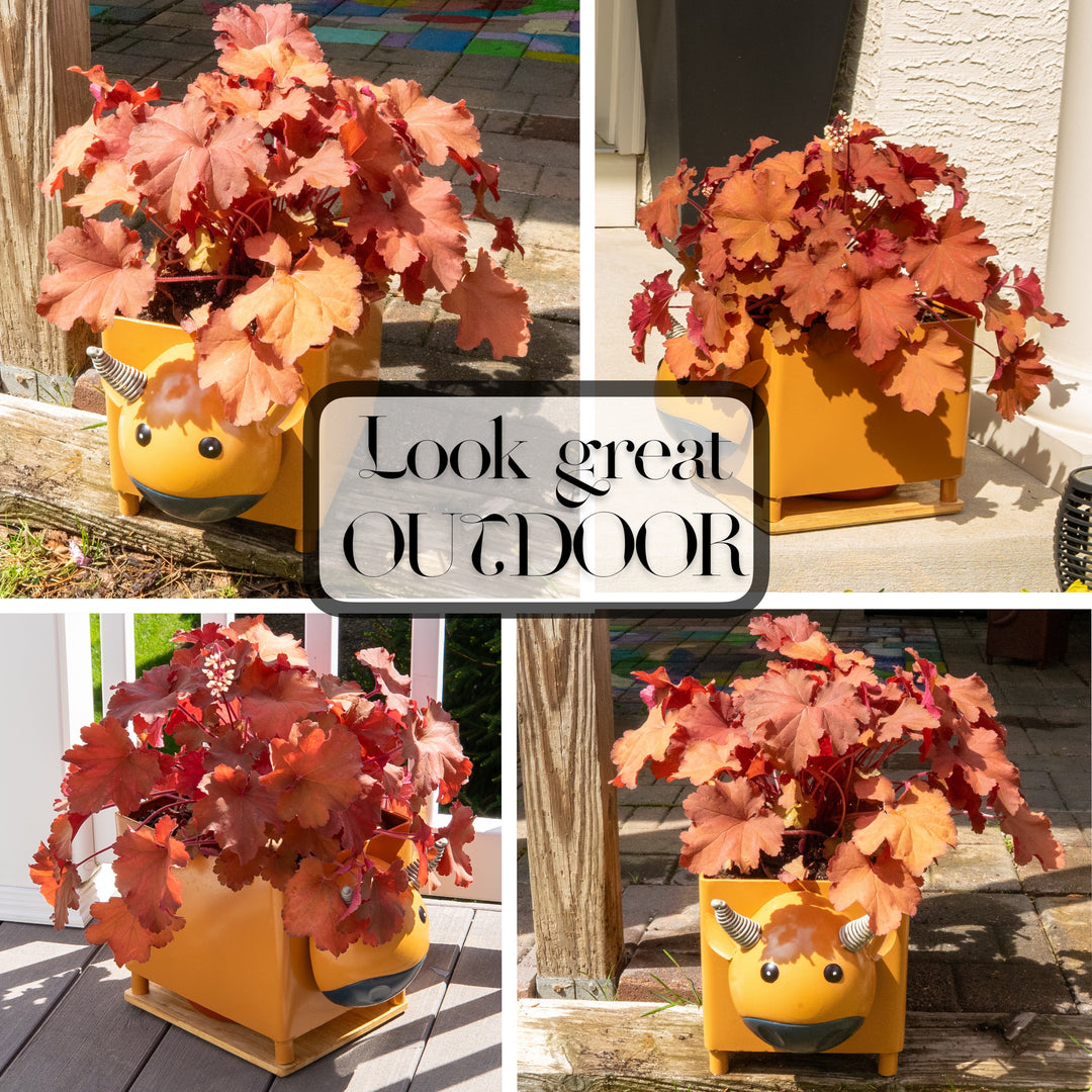 Made Easy Kit Animal Planter Box – Metal Pot with Drainage & Wooden Platform for Indoor/Outdoor Decor