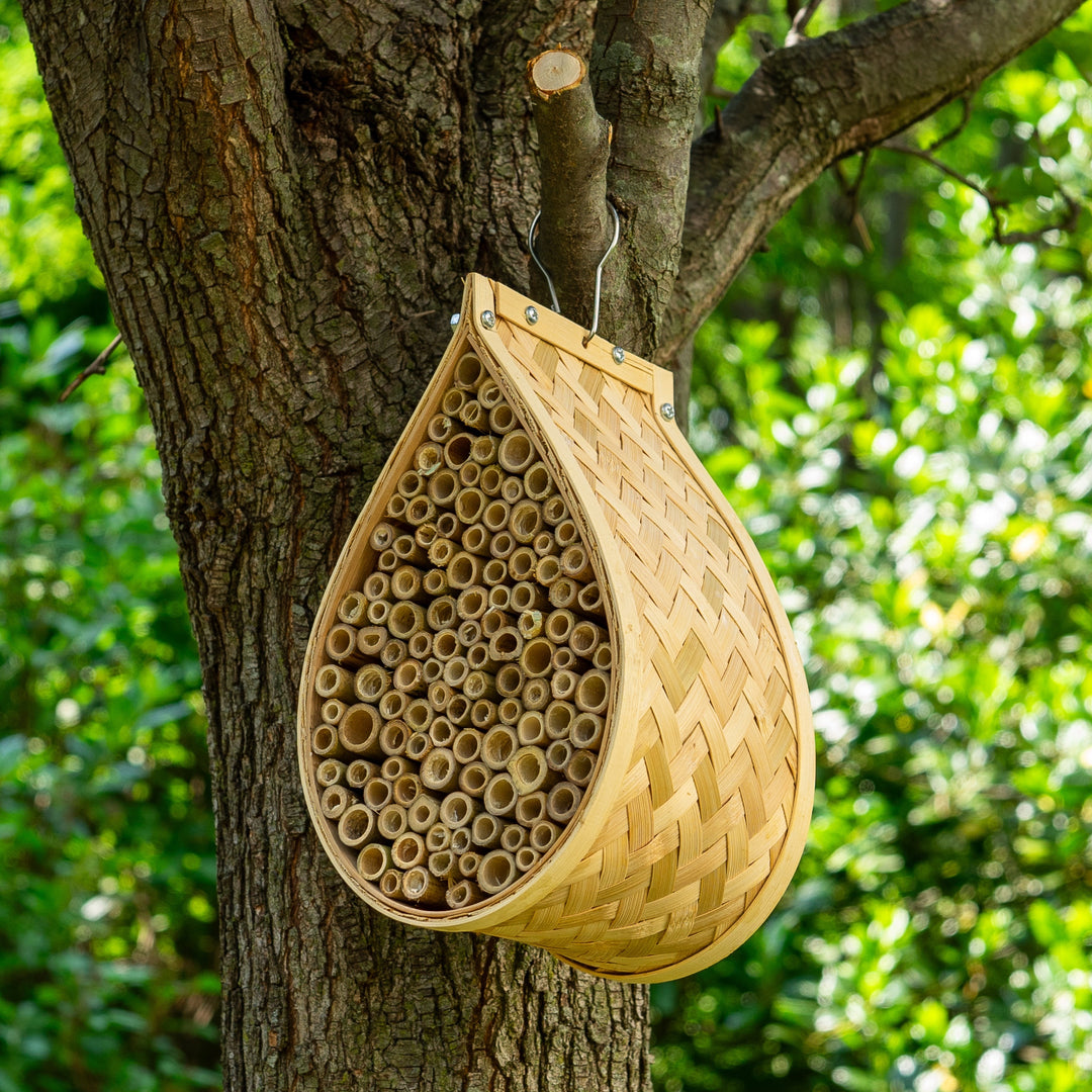 Mason Bee House Insect Home and Hive