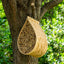 Mason Bee House Insect Home and Hive