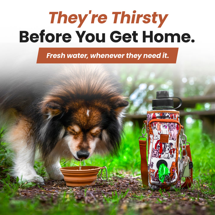 Made Easy Kit Dog Walking Solution