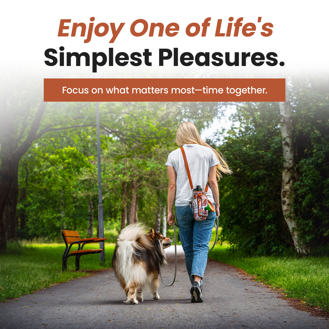 Made Easy Kit Dog Walking Solution