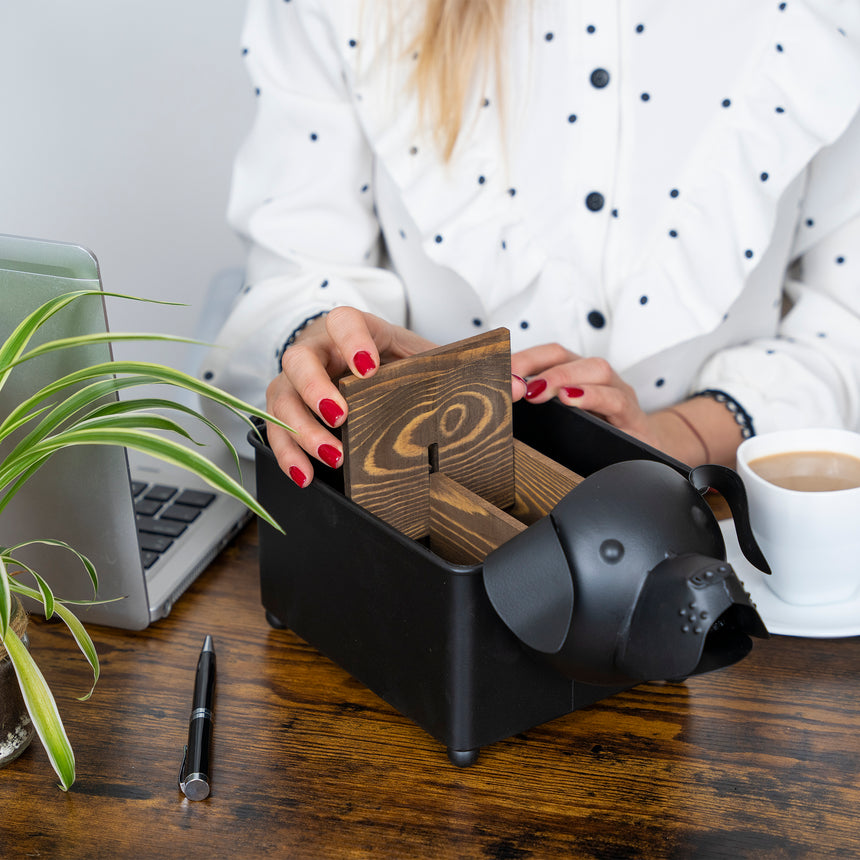 Desk Organizer, with Module Compartments