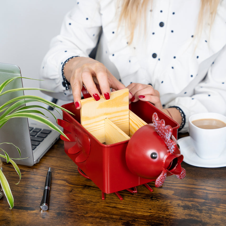 Desk Organizer, with Module Compartments