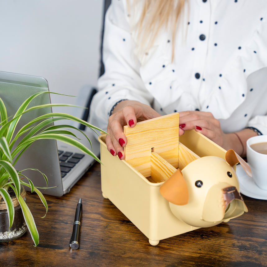 Desk Organizer, with Module Compartments