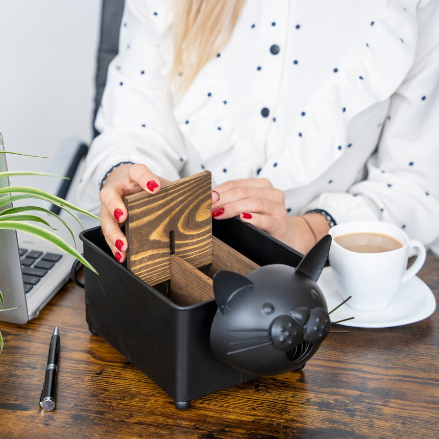 Desk Organizer, with Module Compartments