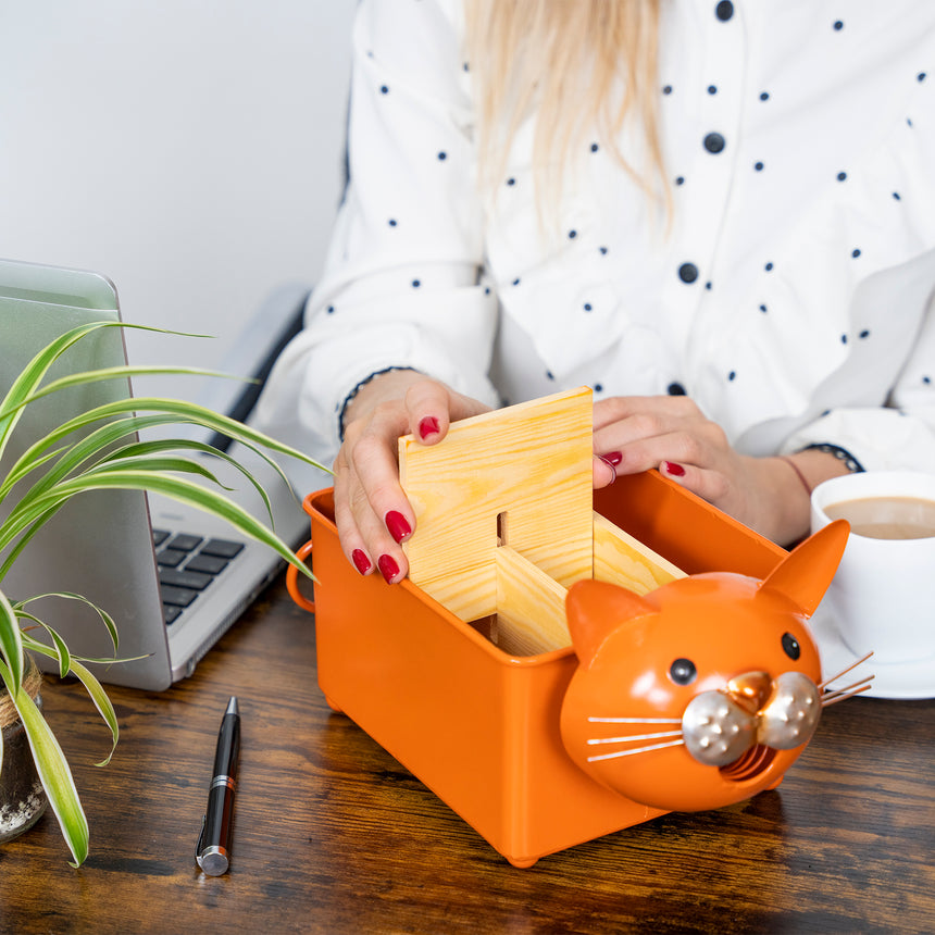 Desk Organizer, with Module Compartments