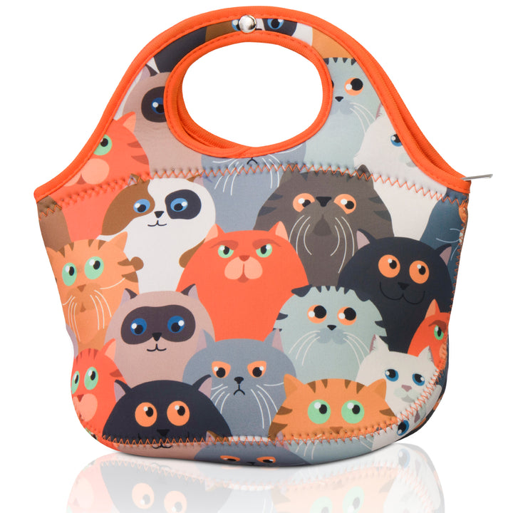 Lunch Tote with a Front Pocket